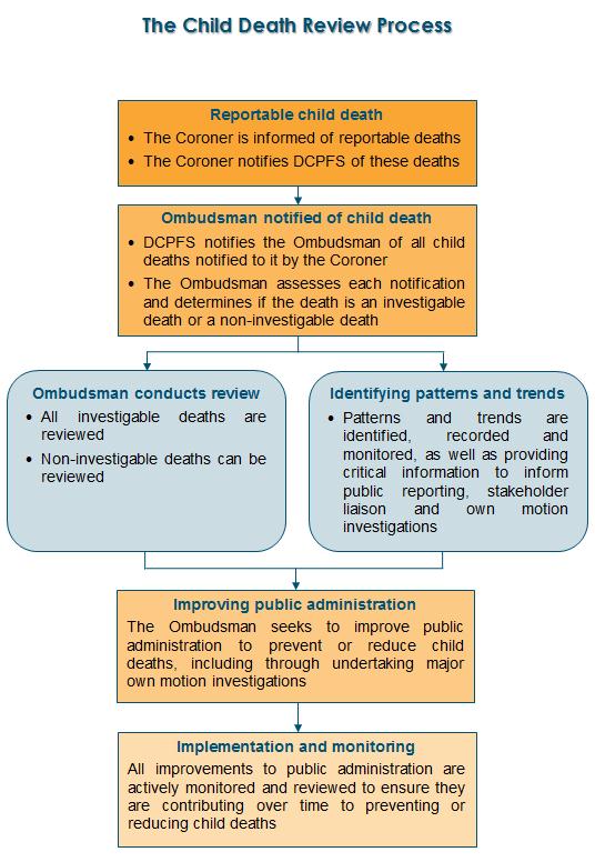 Child Death Review Process